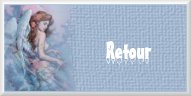 Retour au Plan du Site